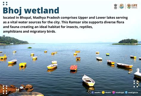 how many lakes in bhopal|Bhoj Wetland .